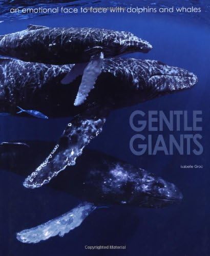 Gentle Giants: an Emotional Face to Face With Dolphins and Whales