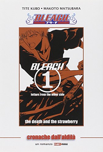 Cronache dall'aldilà. Bleach