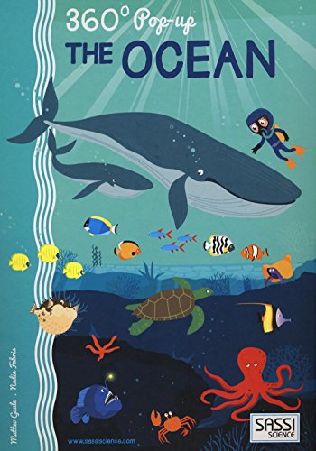 The Ocean