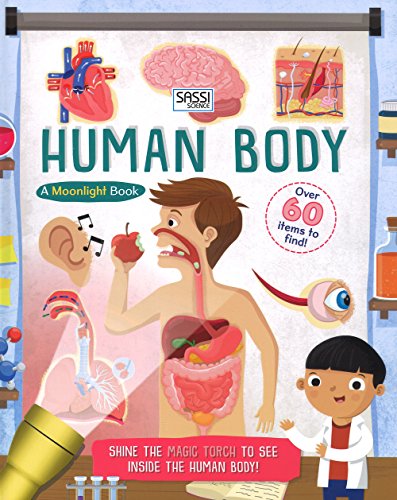 Human Body