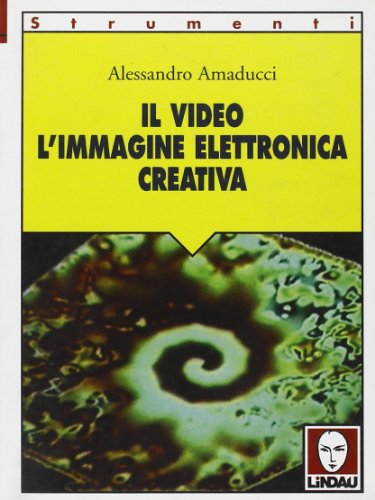 Il Video. L'immagine Elettronica Creativa