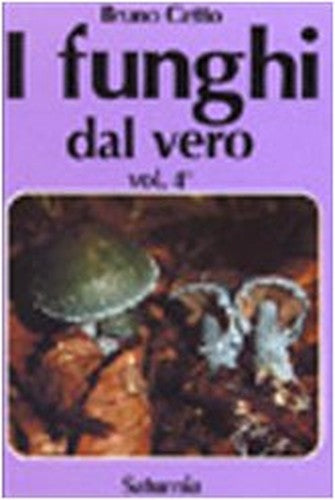I funghi dal vero