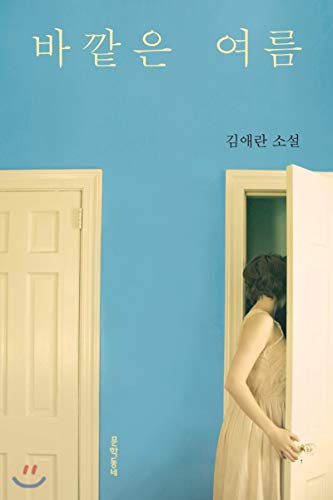 ë°”깥ì € ì—¬ë¦„ Summer Outside Korean Text Book Fiction Novel Kim Ae Ran ê¹€ì• ëž€