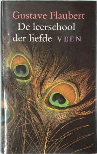 De leerschool der liefde: de geschiedenis van een jongeman