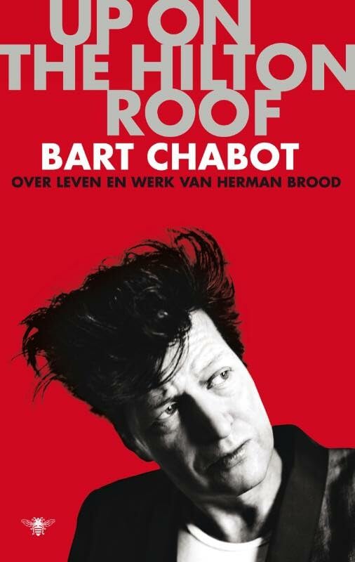 Up on the Hilton roof: over leven en werk van Herman Brood