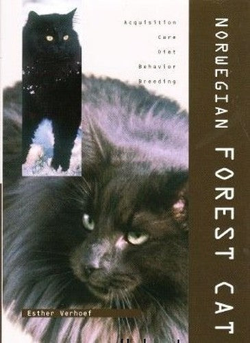 Norwegian Forest Cat