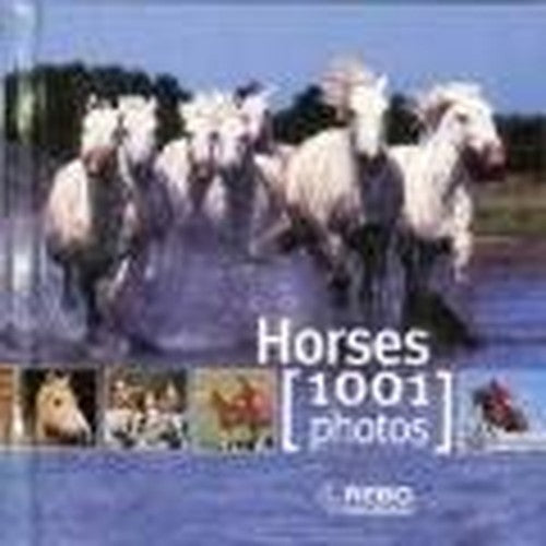 1001 Photos Cubebook Horses