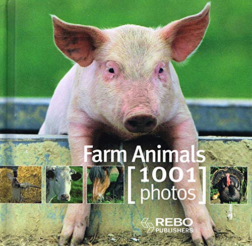 Farm Animals