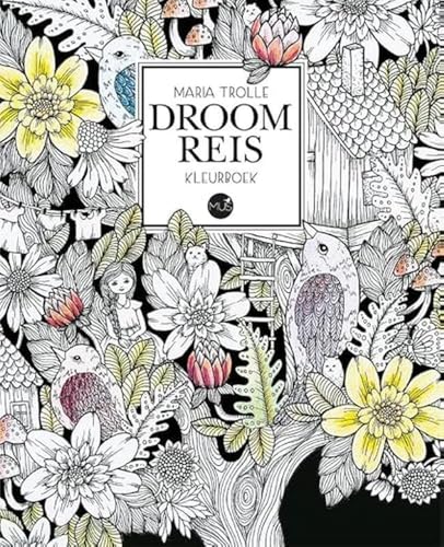 Droomreis kleurboek
