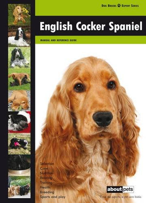 English Cocker Spaniel