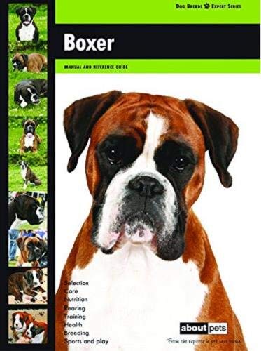 Boxer