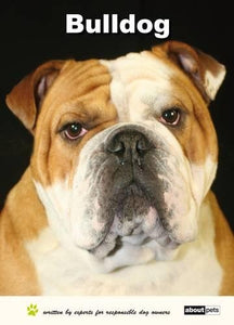 Bulldog 