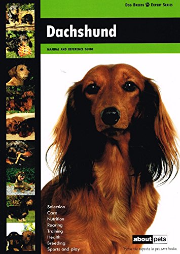 Daschund