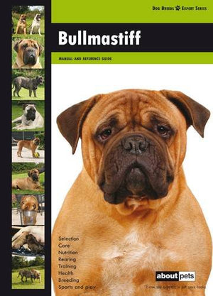 Bullmastiff