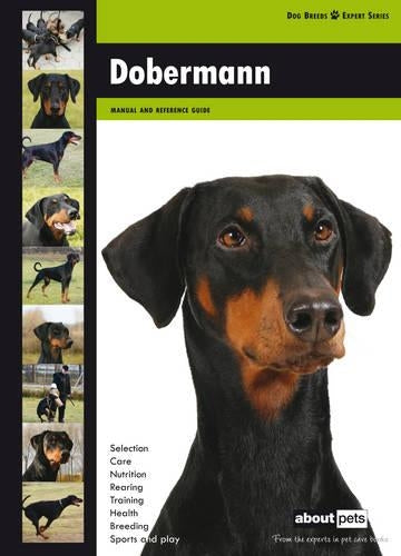 Doberman