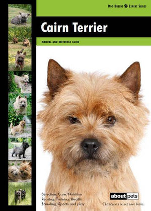 Cairn Terrier