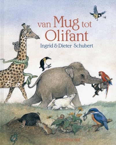 Van mug tot olifant (Dutch Edition)