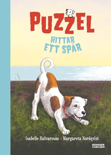 Puzzel hittar ett spår: 03