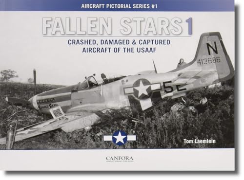 Fallen Stars 1