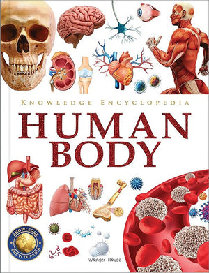 Knowledge Encyclopedia