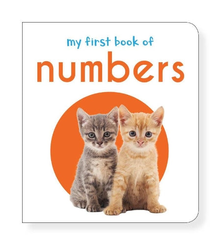 My First Book of Numbers