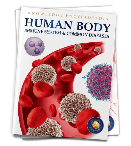 Human Body