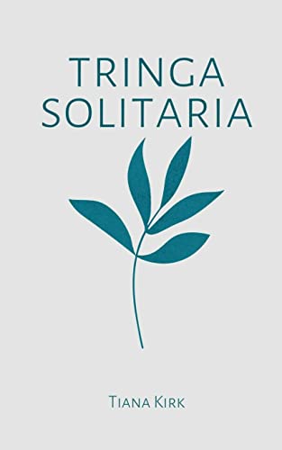 Tringa Solitaria
