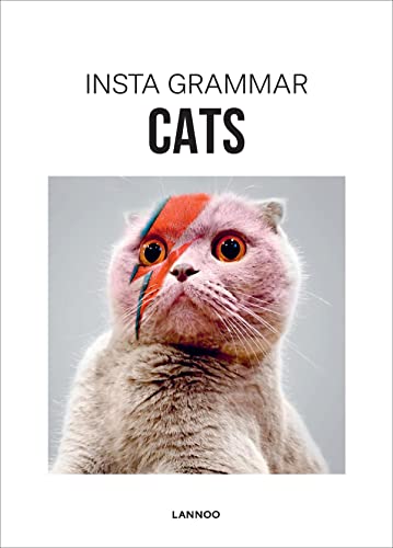 Insta Grammar: Cats