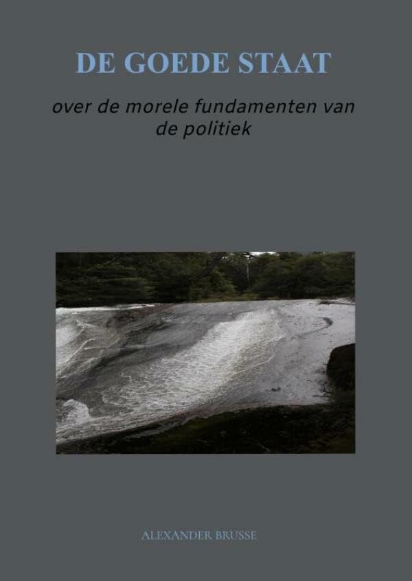 De goede staat: over de morele fundamenten van de politiek