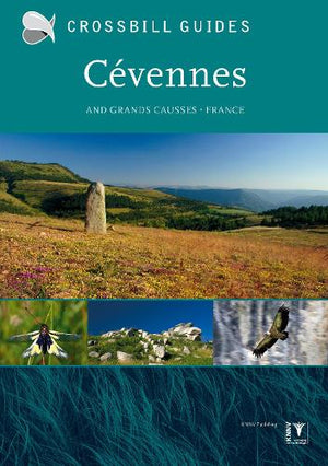 Crossbill Nature Guide Cevennes
