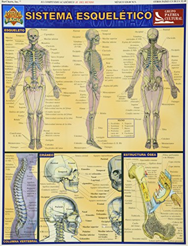 Sistema Esqueletico (Aprenda Facil)