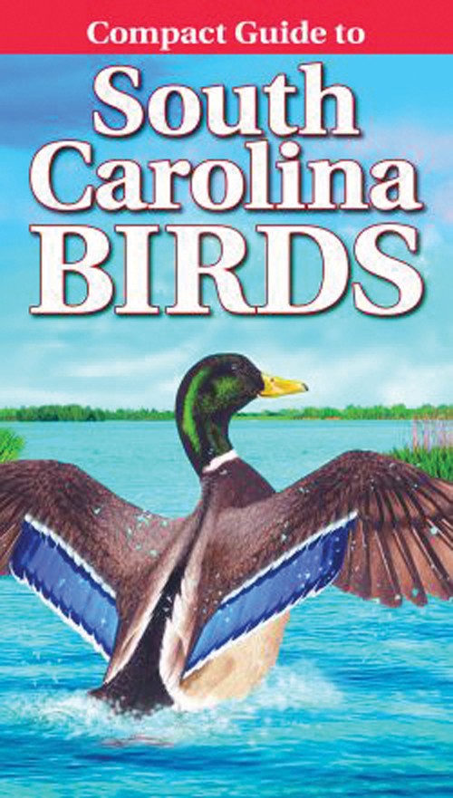 Compact Guide to South Carolina Birds