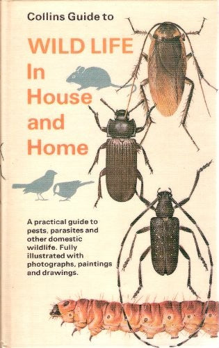 Wild Life in House and Home [Collins Guide]