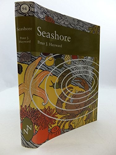 Seashore