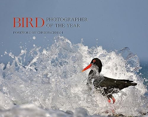 Bird Photographer of the Year