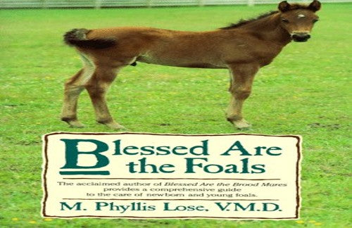 Blessed are the Foals