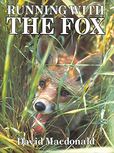 Running with the Fox
