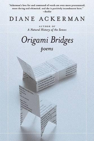 Origami Bridges