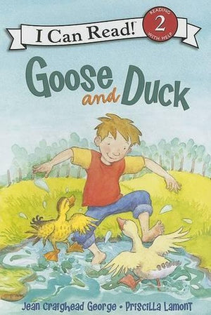 Goose and Duck