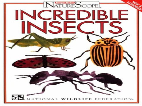 Incredible Insects
