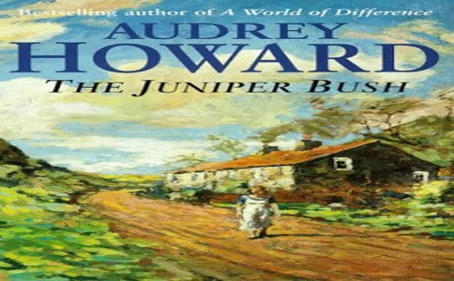 The Juniper Bush