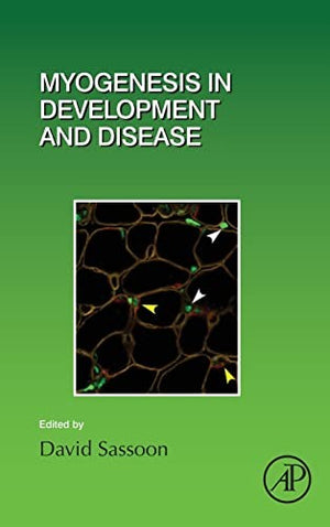 Myogenesis in Development and Disease