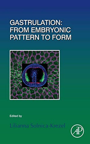Gastrulation: From Embryonic Pattern to Form