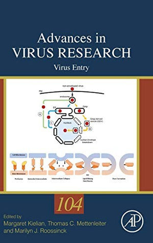 Virus Entry