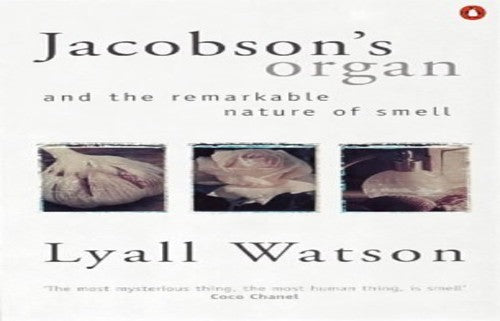 Jacobson's Organ
