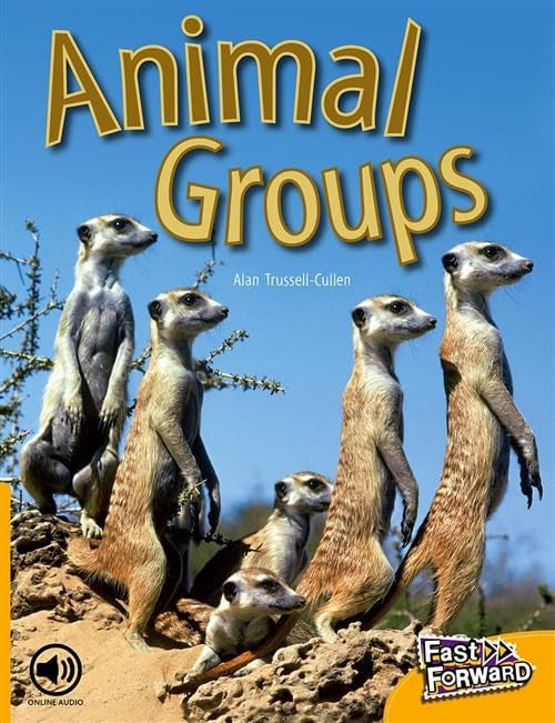 Animal Groups cover