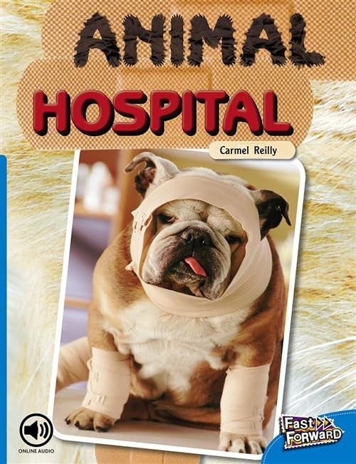 Animal Hospital cover