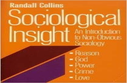 Sociological Insight cover