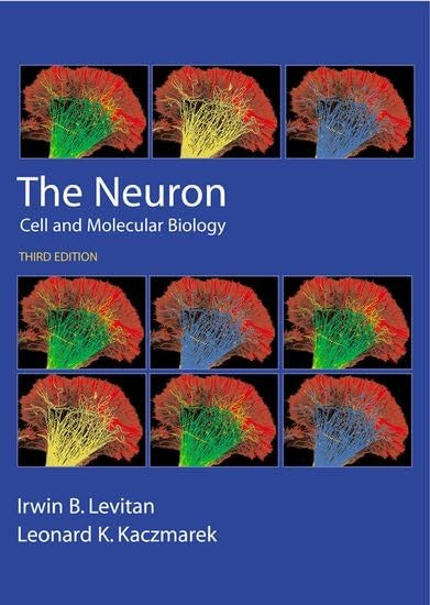 The Neuron
