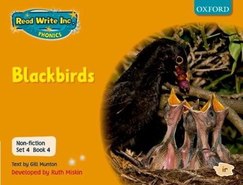 Read Write Inc Phonics Non-fiction Orange Set 4 Book 4 Blackbirds